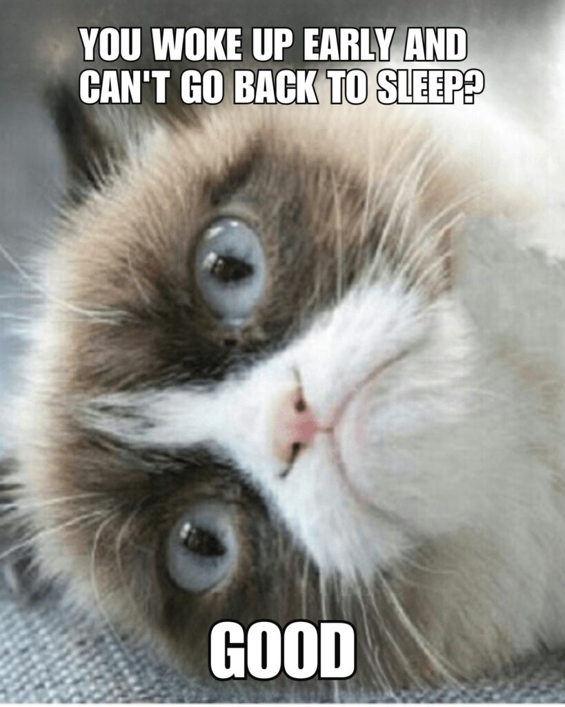 Ridiculous Sleep Memes