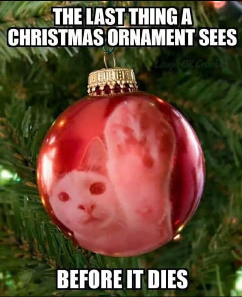 35+ Funny Christmas Memes [2024] That Will Make Your Holiday