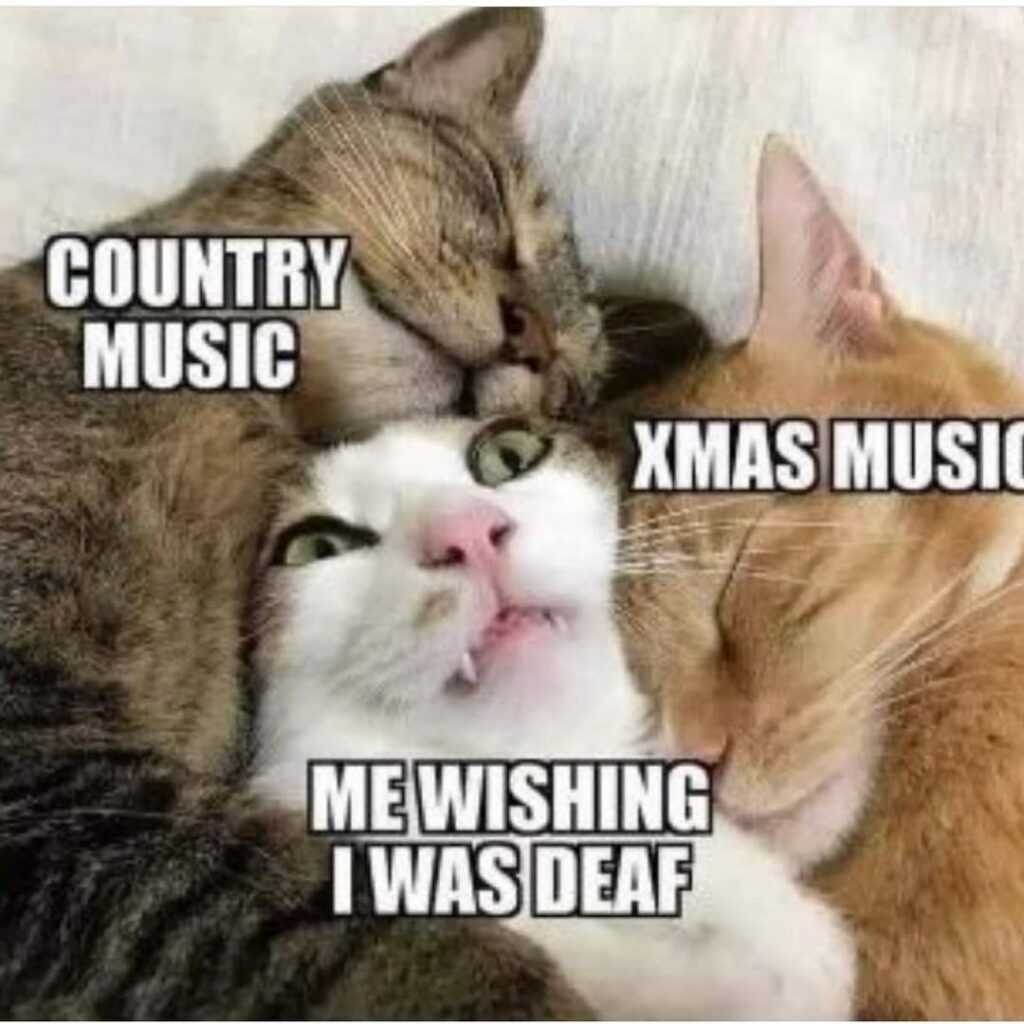 35+ Funny Christmas Memes [2024] That Will Make Your Holiday