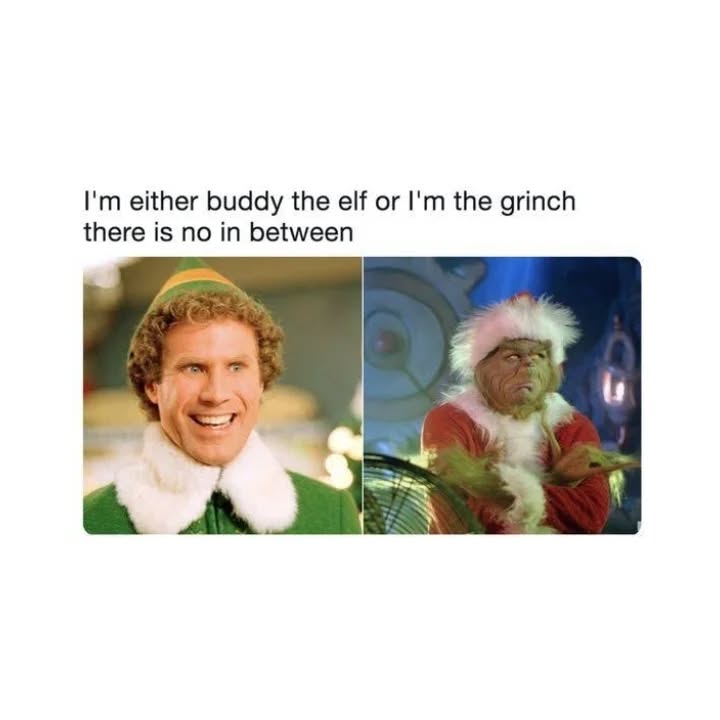 35+ Funny Christmas Memes [2024] That Will Make Your Holiday