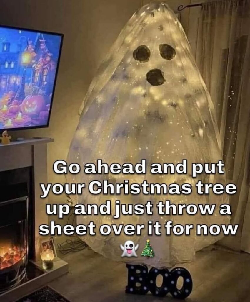 35+ Funny Christmas Memes [2024] That Will Make Your Holiday