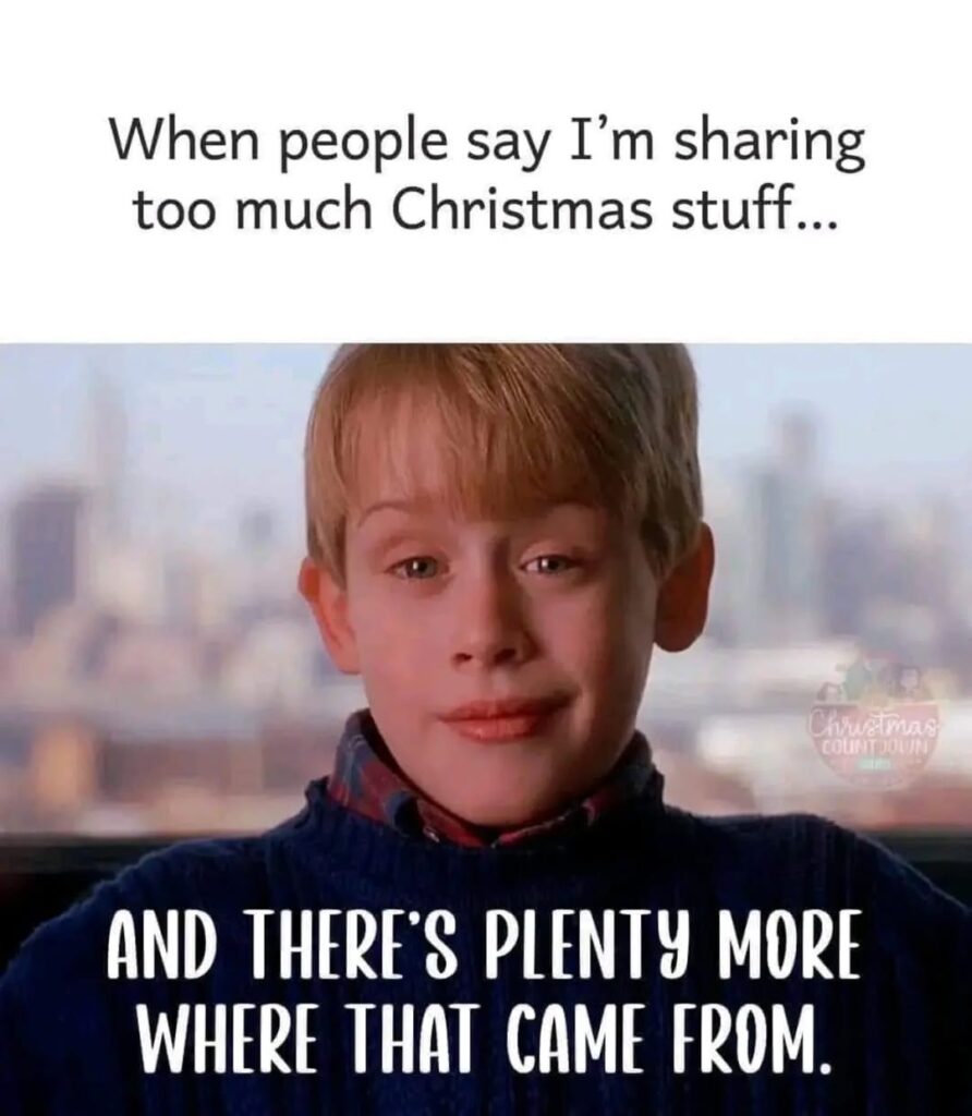 35+ Funny Christmas Memes [2024] That Will Make Your Holiday