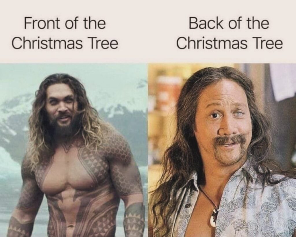 35+ Funny Christmas Memes [2024] That Will Make Your Holiday