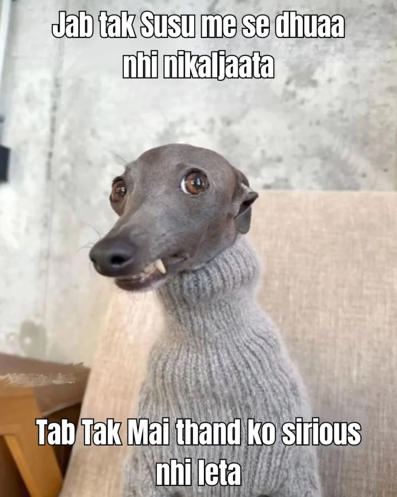When It Is Very Cold - Then Me | Cold Weather Funny Memes 3 When It Is Very Cold - Then Me | Cold Weather Funny Memes