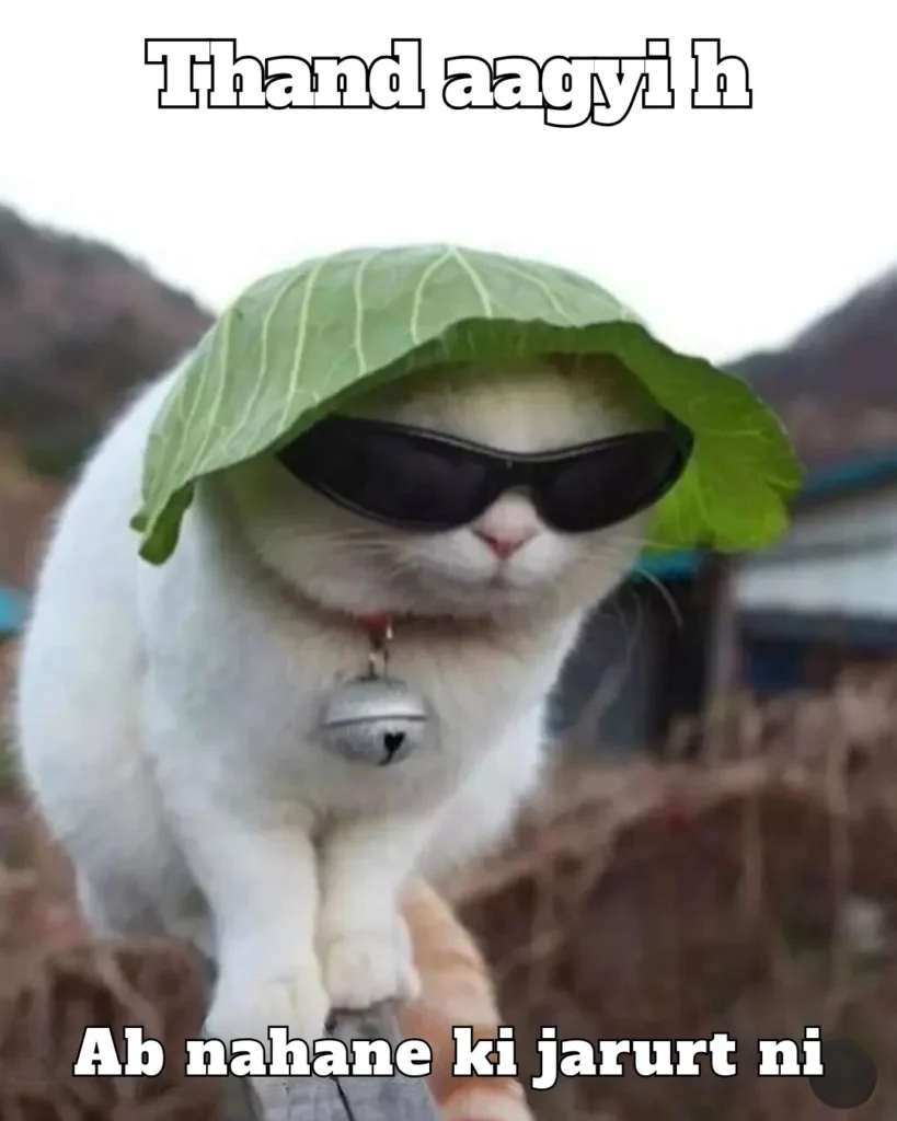 When It Is Very Cold - Then Me | Cold Weather Funny Memes 6 When It Is Very Cold - Then Me | Cold Weather Funny Memes