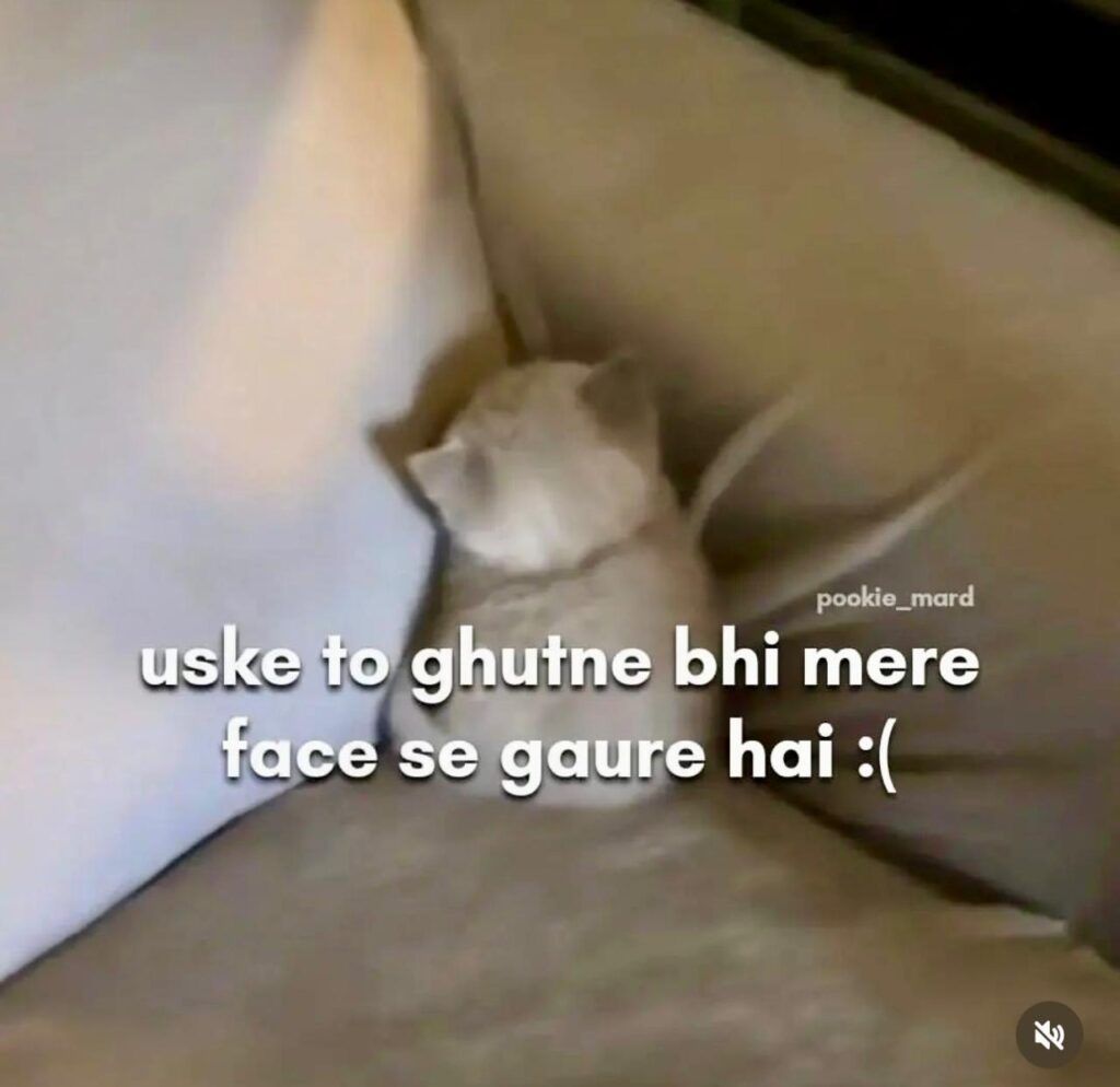 50+ Funny Memes in Hindi​, Dekh Liya to Kai Dino Tak Haste Rahenge!