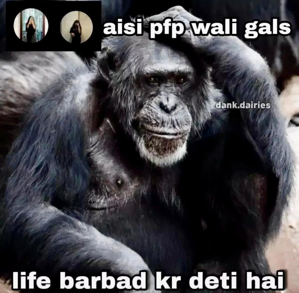 50+ Funny Memes in Hindi​, Dekh Liya to Kai Dino Tak Haste Rahenge!