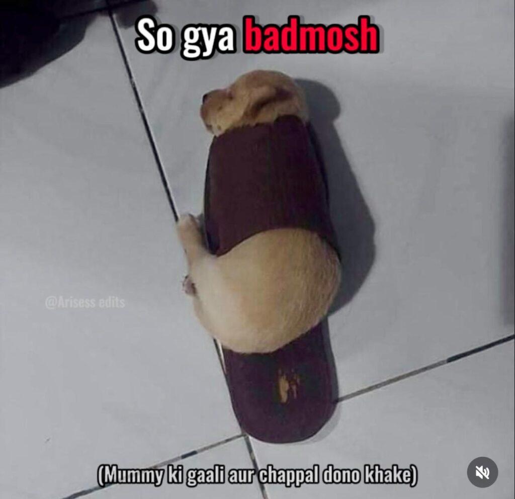 50+ Funny Memes in Hindi​, Dekh Liya to Kai Dino Tak Haste Rahenge!