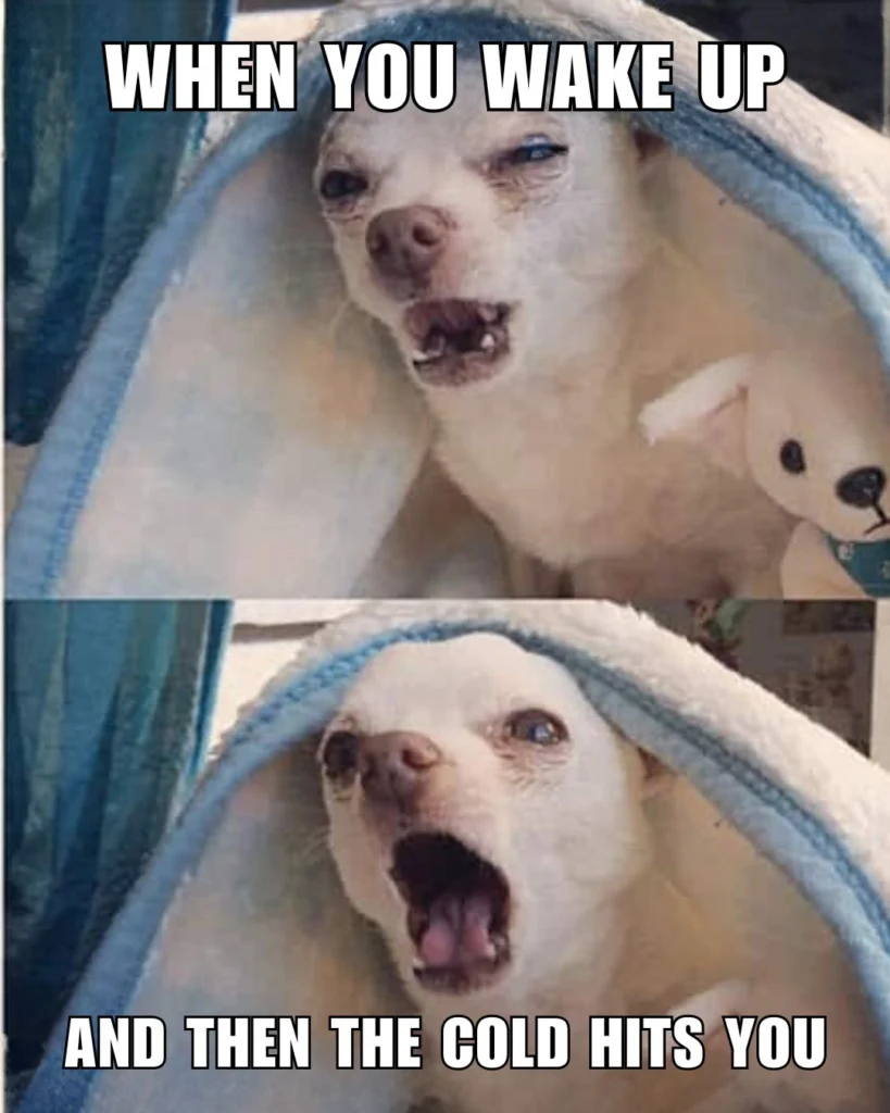 When It Is Very Cold - Then Me | Cold Weather Funny Memes 12 When It Is Very Cold - Then Me | Cold Weather Funny Memes