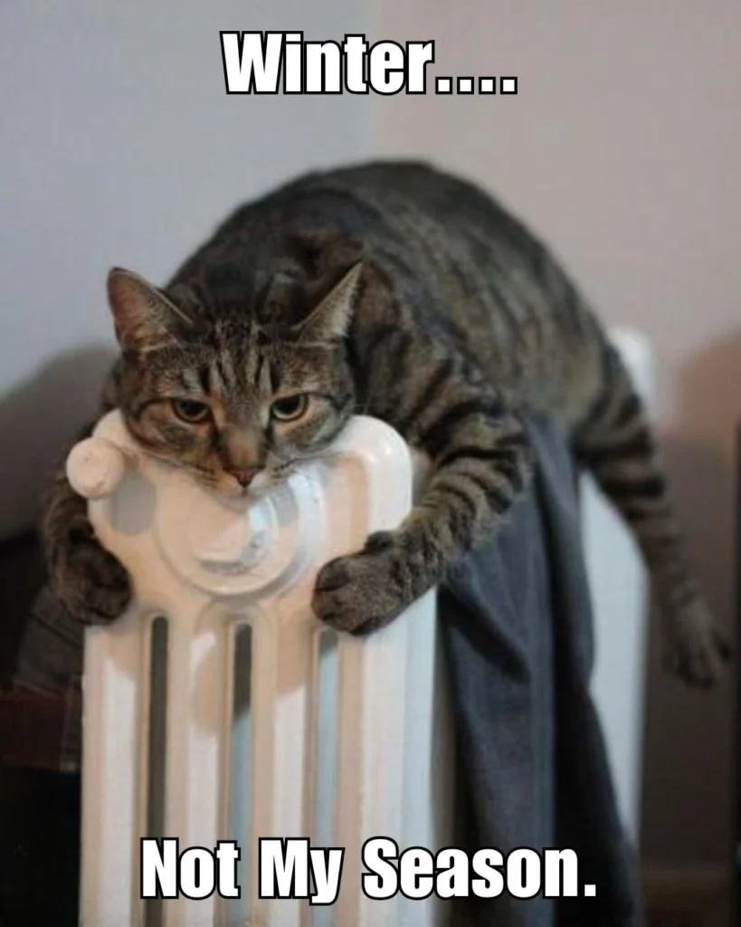 When It Is Very Cold - Then Me | Cold Weather Funny Memes 11 When It Is Very Cold - Then Me | Cold Weather Funny Memes