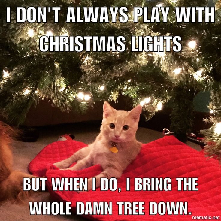 25 Funny Christmas Memes: Spreading Holiday Cheer with a Twist