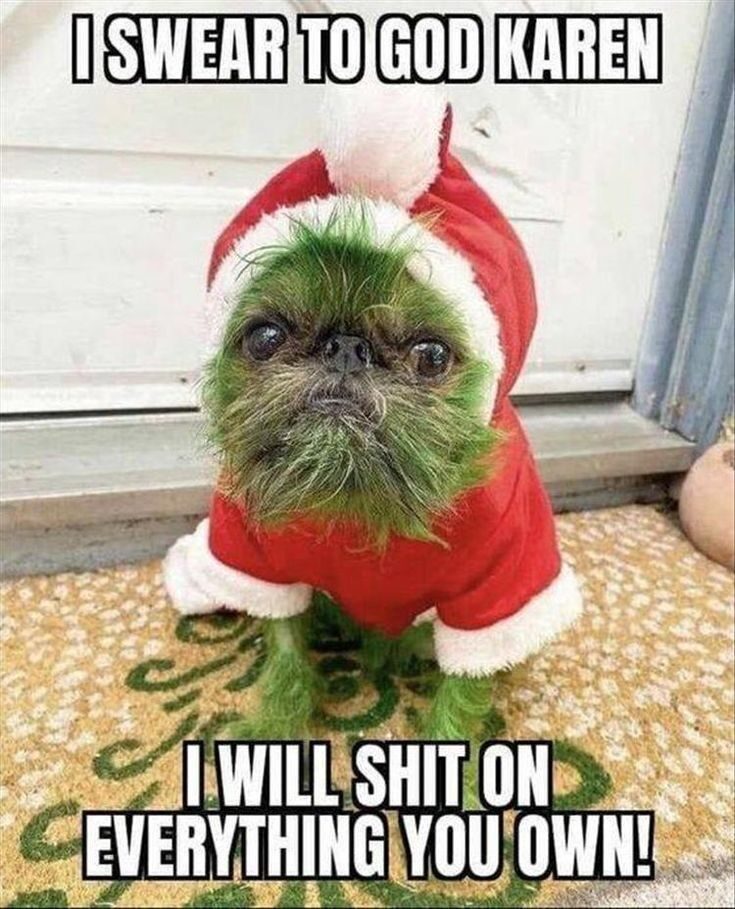 25 Funny Christmas Memes: Spreading Holiday Cheer with a Twist