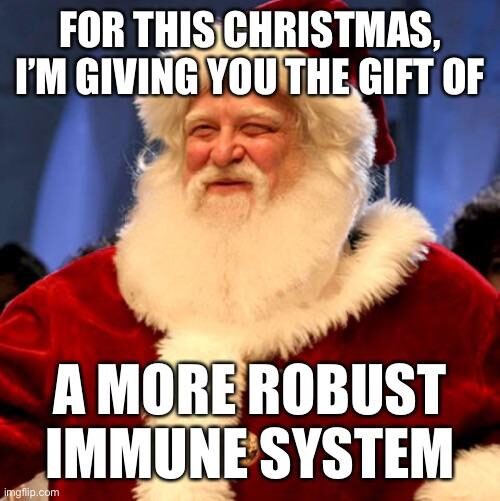 The 50+ Funniest Christmas Santa Claus Meme We've Seen on the Internet