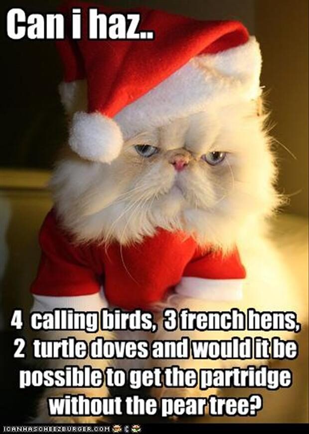 The 50+ Funniest Christmas Santa Claus Meme We've Seen on the Internet