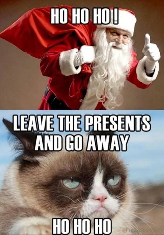 The 50+ Funniest Christmas Santa Claus Meme We've Seen on the Internet