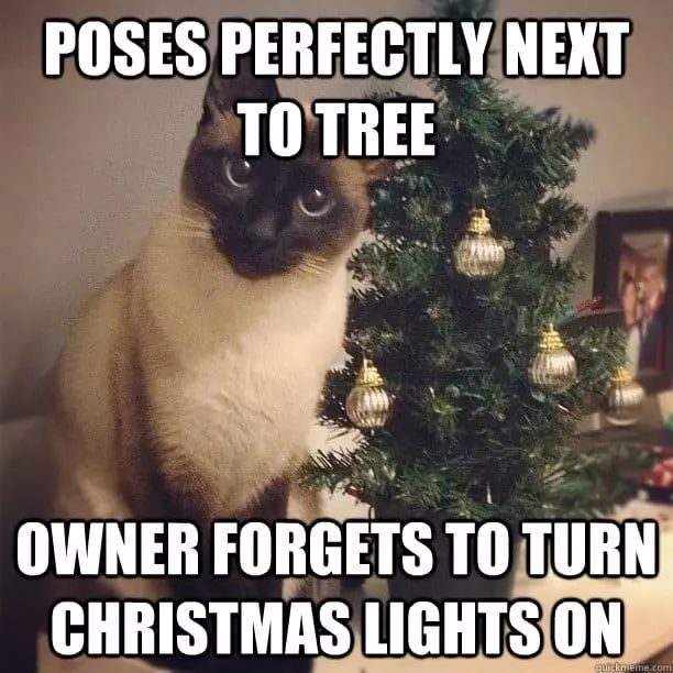 38 Funny Christmas Memes in [2024] That Will Make You Laugh Out Loud !