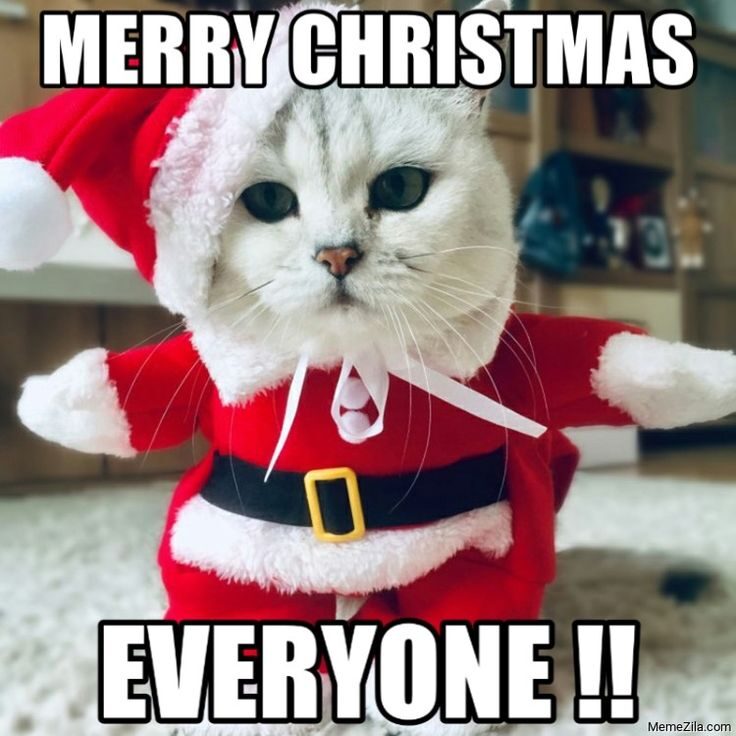 44 Viral Merry Christmas Memes [2024] They’re the Epitome of Holiday Humor