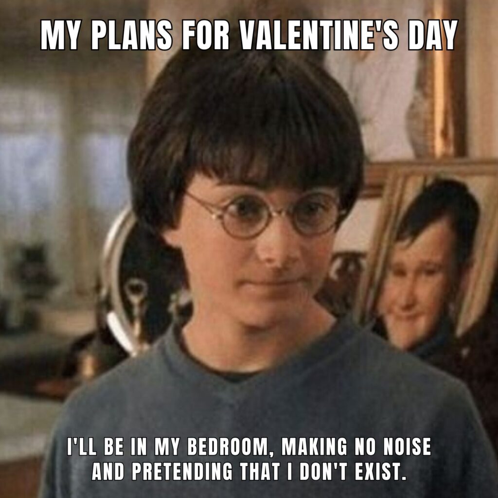 Hilarious Valentines Day Memes to Share With Your Single Loved Ones